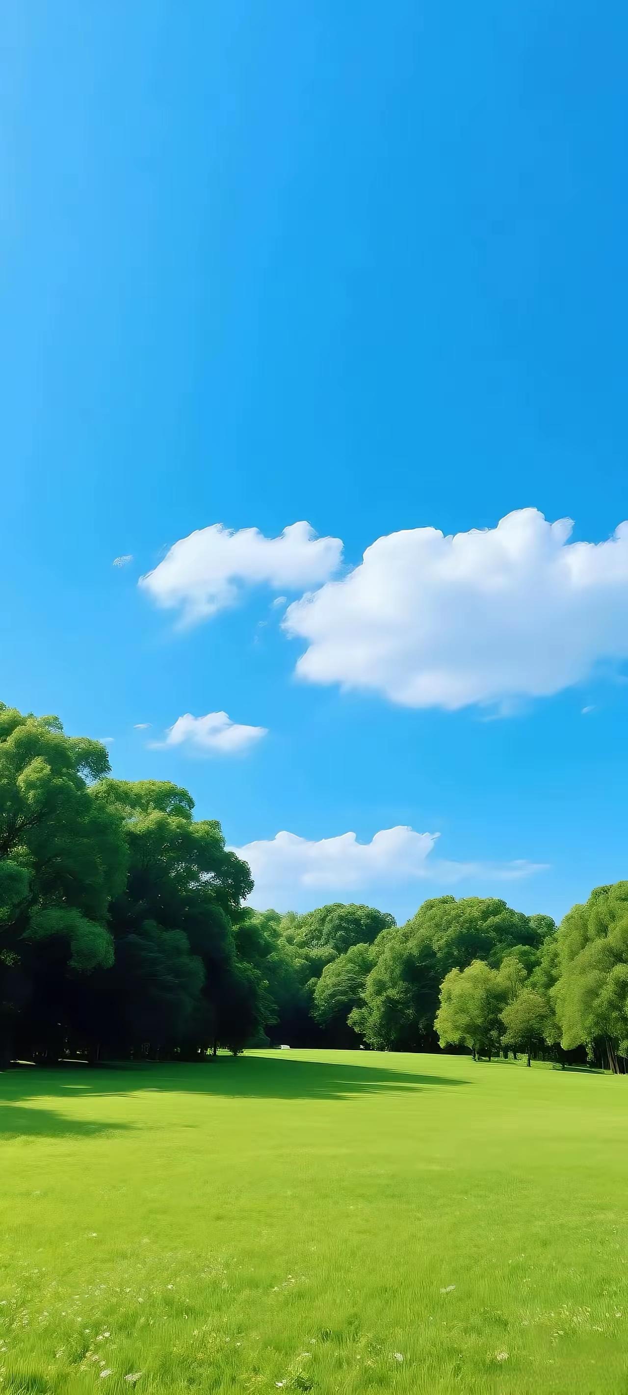 阳光洒满的绿色草地，蓝天白云下的宁静时光。🌞🌳🌿