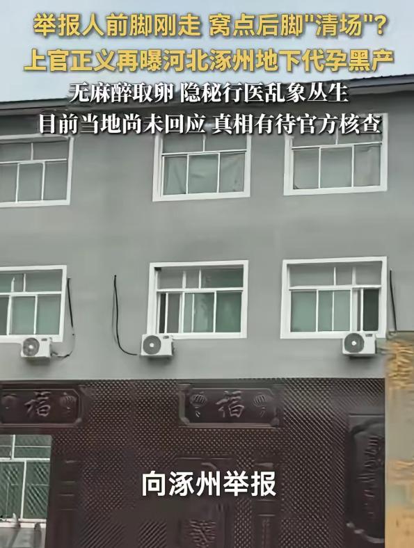 报完警不到十分钟窝点就空了，上官正义问了一句话：谁透的风？
 
谁能想到，普通乡