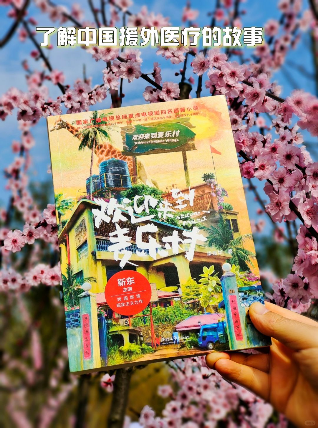 《欢迎来到麦乐村》中国援非医疗小说太好看