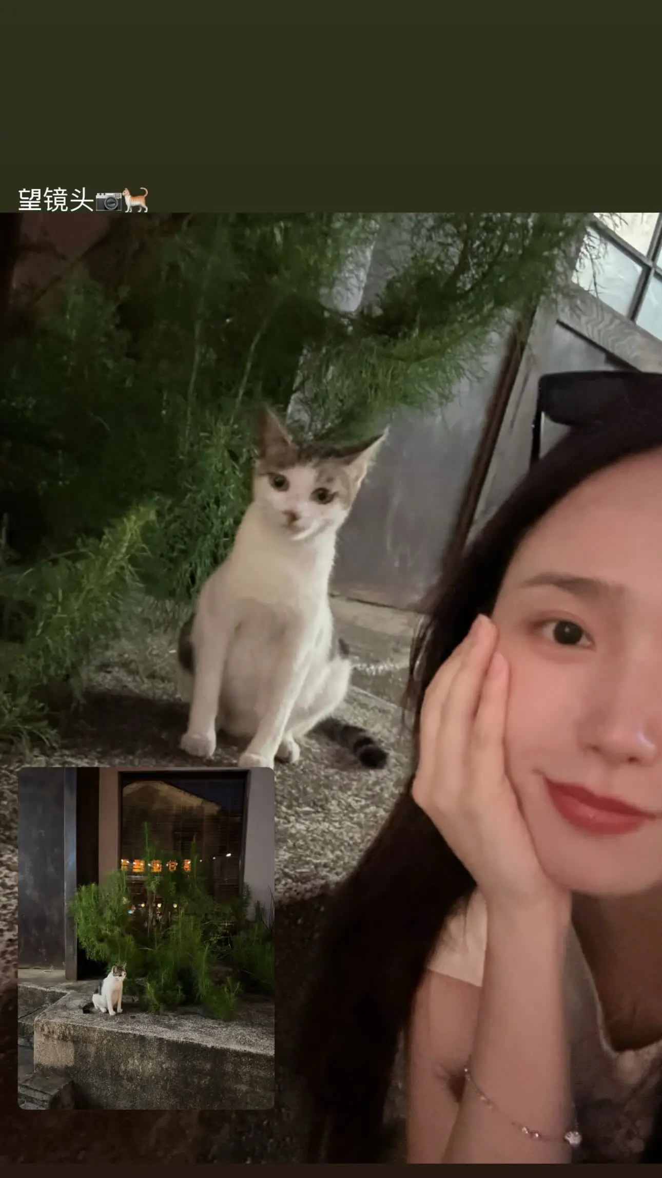 花开的漂亮就是会吸引蝴蝶 但是花属于养花人 不属于蝴蝶