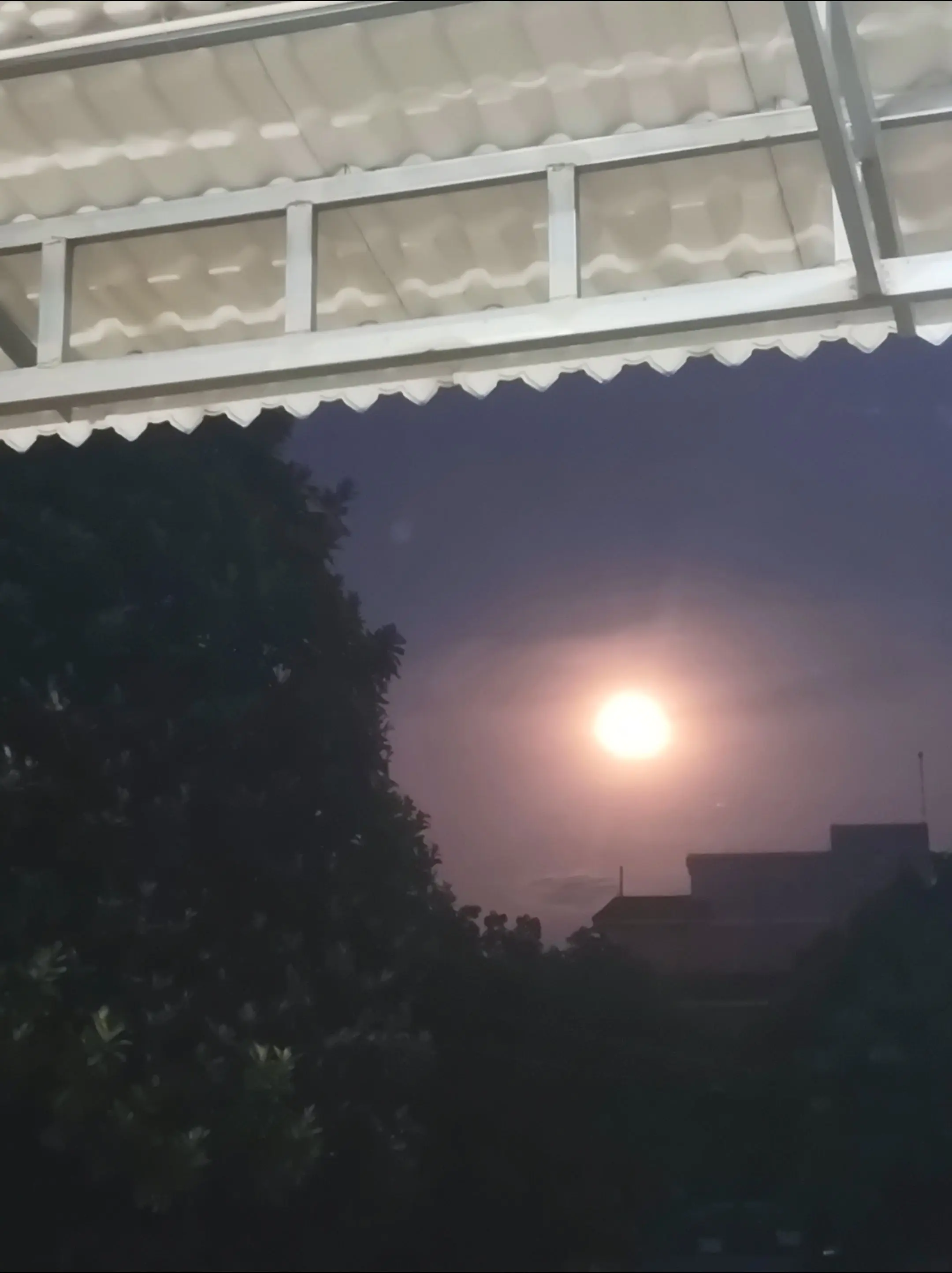 我望明月月望你，仰头望月月不语，闭目 思人人不知，花下无眠月无光，记忆...