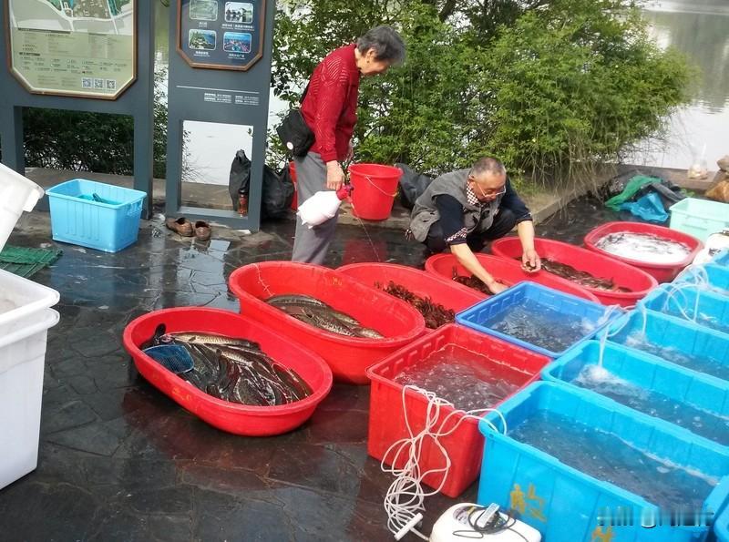 多人河边“放生”亚克力板？官方回应 多人河边“放生”亚克力板？官方回应
近日，多