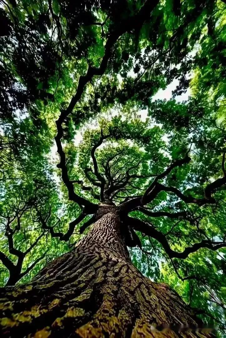 留意呼吸时心窝部的感受～
（江苏省人民医院梅花独秀）呼吸小窍门 左胸不舒服 练练