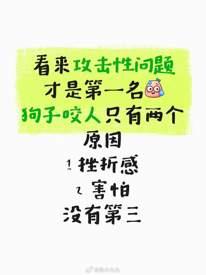 鸭嘴之前只是叫，从不咬人，所有救助的狗没有一个有咬人的习惯；刘偷yue带走狗一年