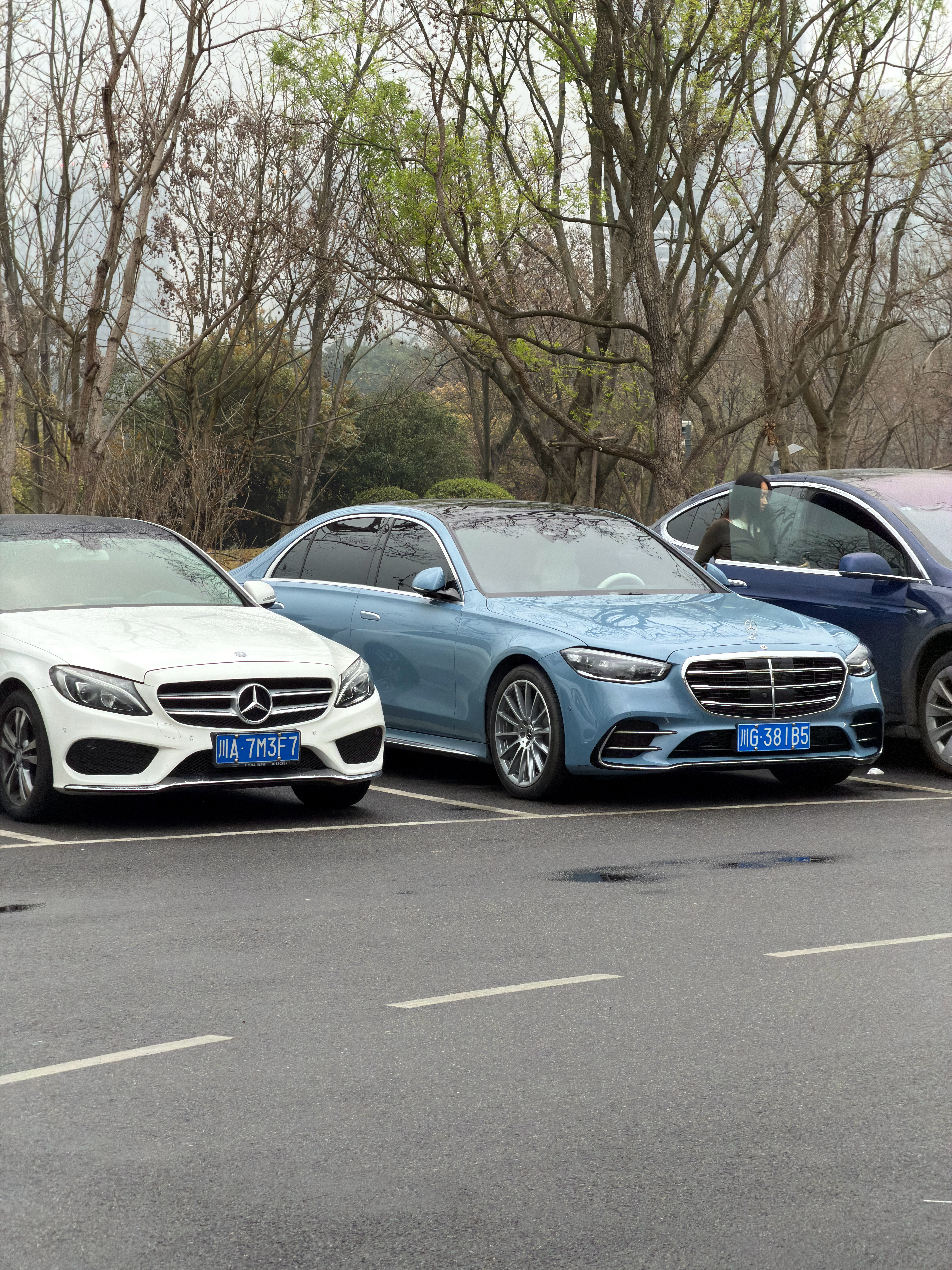 选车这块儿，成都人确实没输过你的下一台车 成都