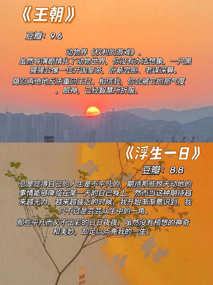 女生必看50部纪录片提高格局，审美，认知。