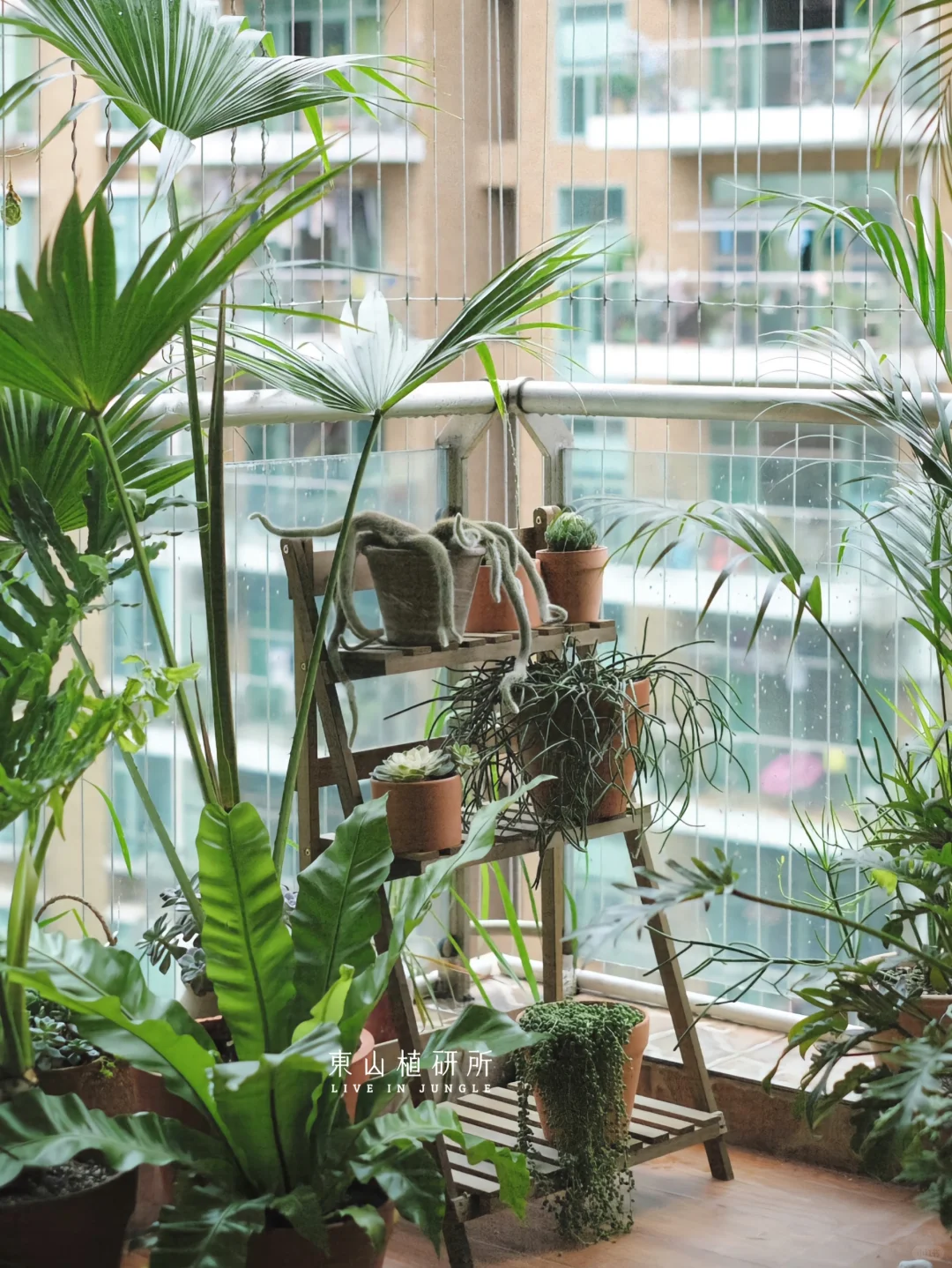 私宅定制｜阳台绿植角布置🍃