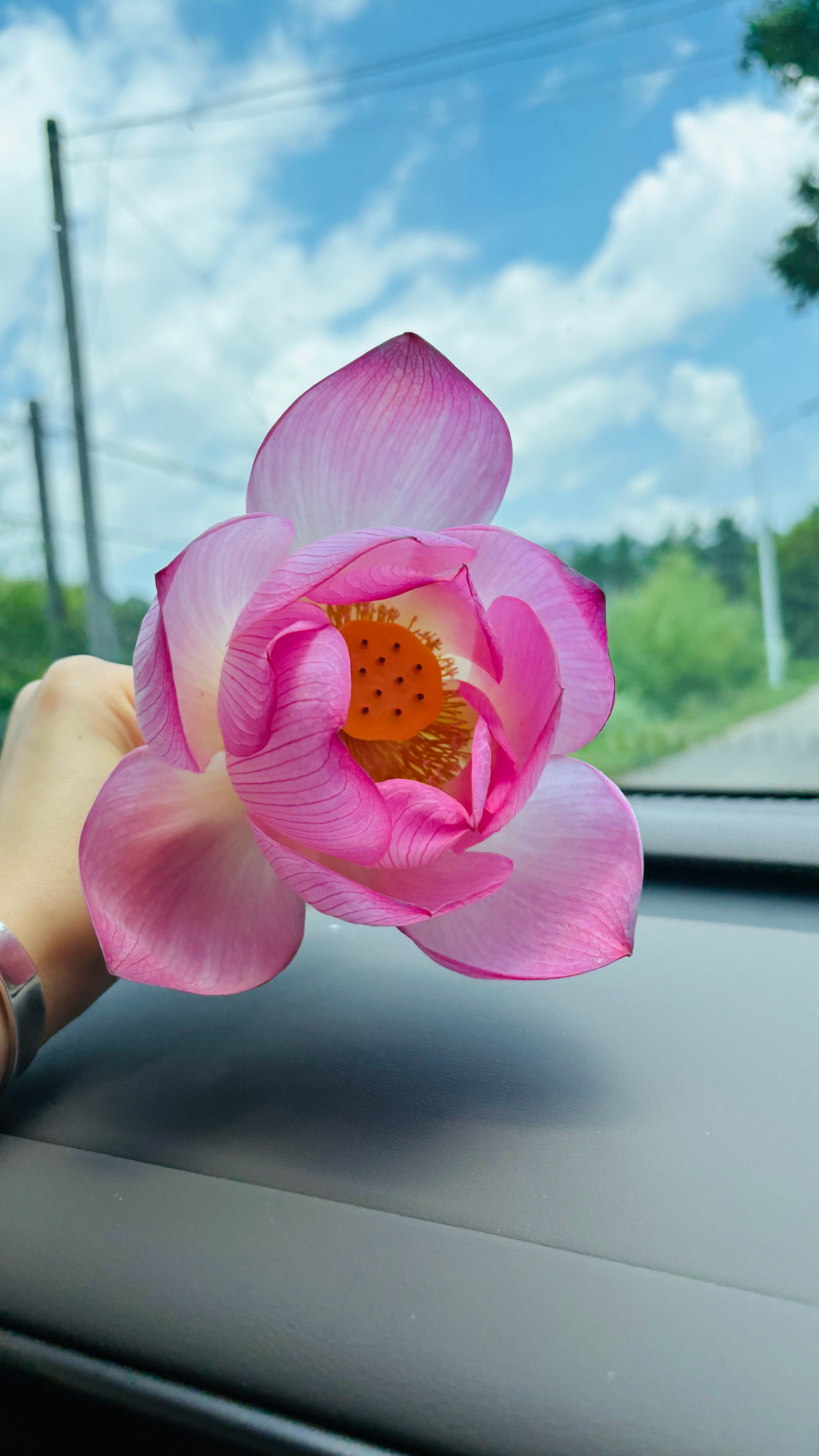 来看花花了～李莲花长命百岁🪷 