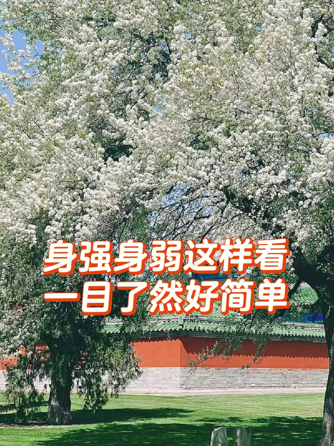 每个人的开局都对应不同的机缘找到自己的先