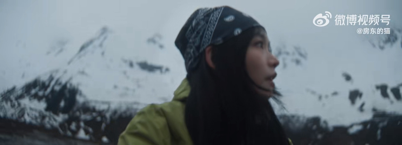 房东的猫新专辑不擅生长的树是谁在六月过上了年