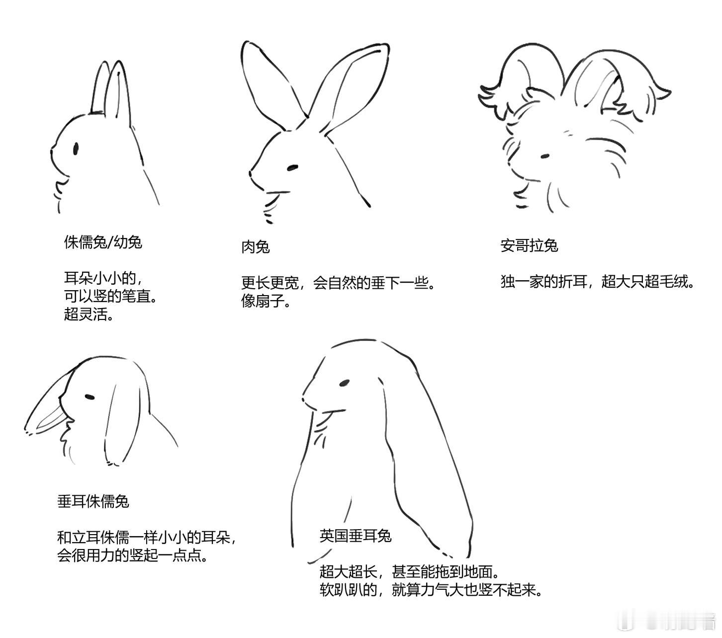 兔耳积累 