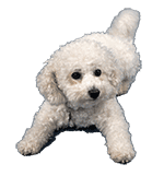 #孟铎透露王哲林被网暴的真相#孟铎的话值得我们深思，网络暴力对运动员的伤害太大了