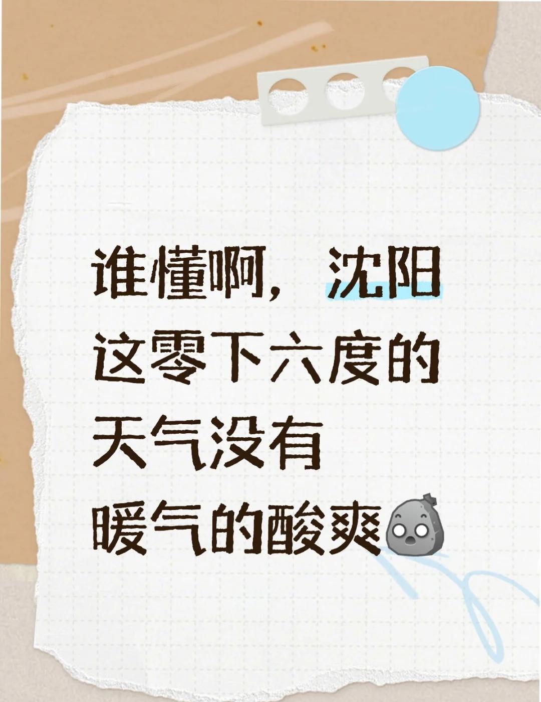 谁懂啊，沈阳这零下六度的天气没有暖气的酸爽[石化]
