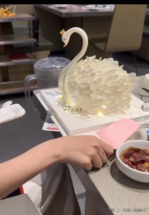 人家的是天鹅，蛋糕店给我送来的是铁锅炖大鹅!
天鹅变大鹅，还是打架输了的那种鹅!