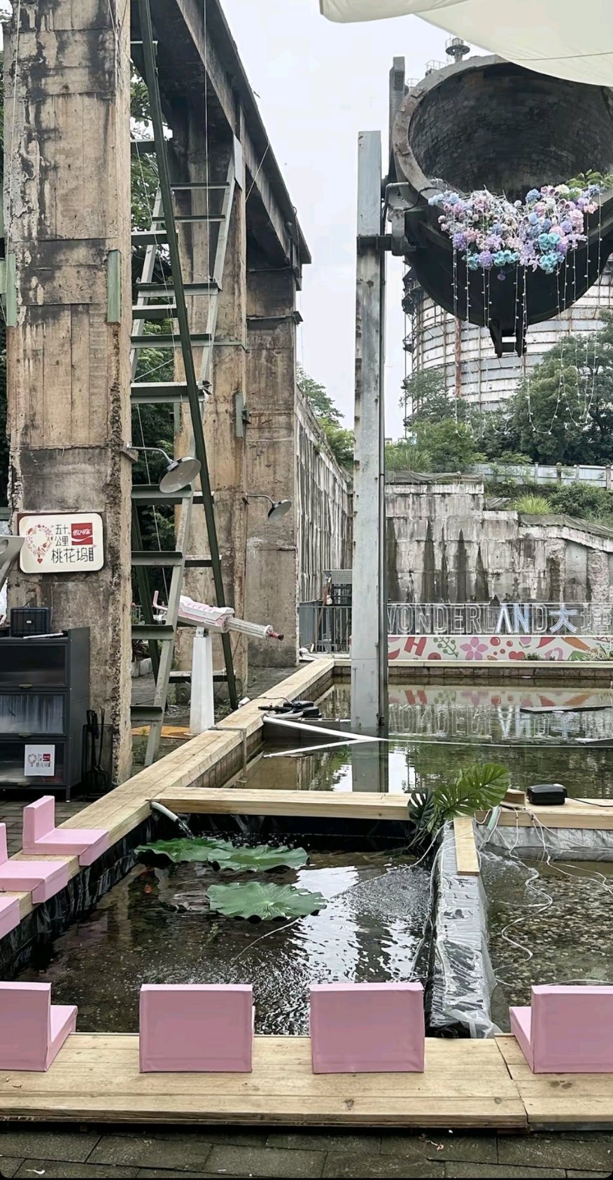 兔总的小池塘真的建起来啦