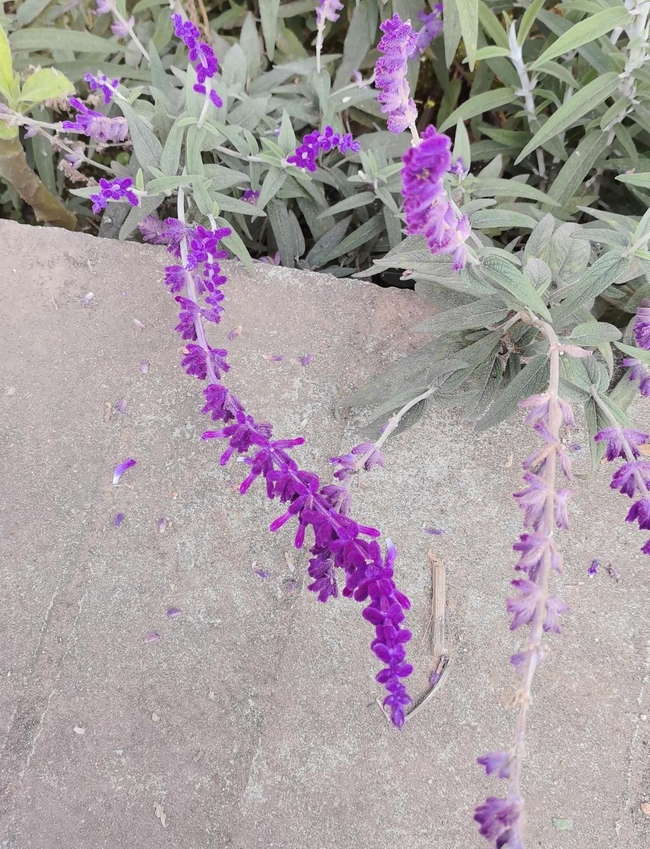 地铁上遇到外放刷短视频的人，该不该提醒？
你们有没有遇见过，在地铁上，手机音量调