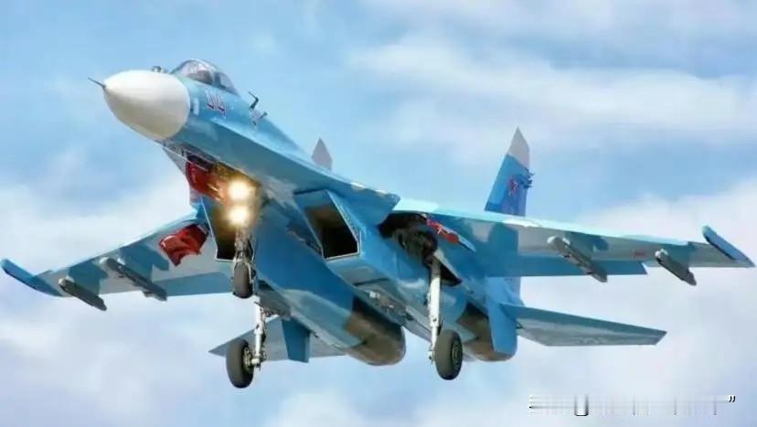 乌击落俄战机：非对称空战如何改写战场规则？

2025年12月20日，乌克兰国家