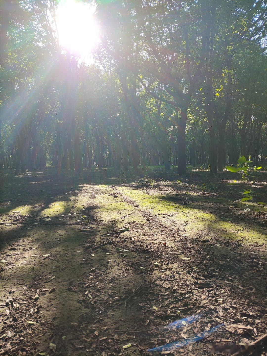 看这画面想起了一首诗∶白日不到处，青春恰自来。苔花如米小，也学牡丹开 ​​​