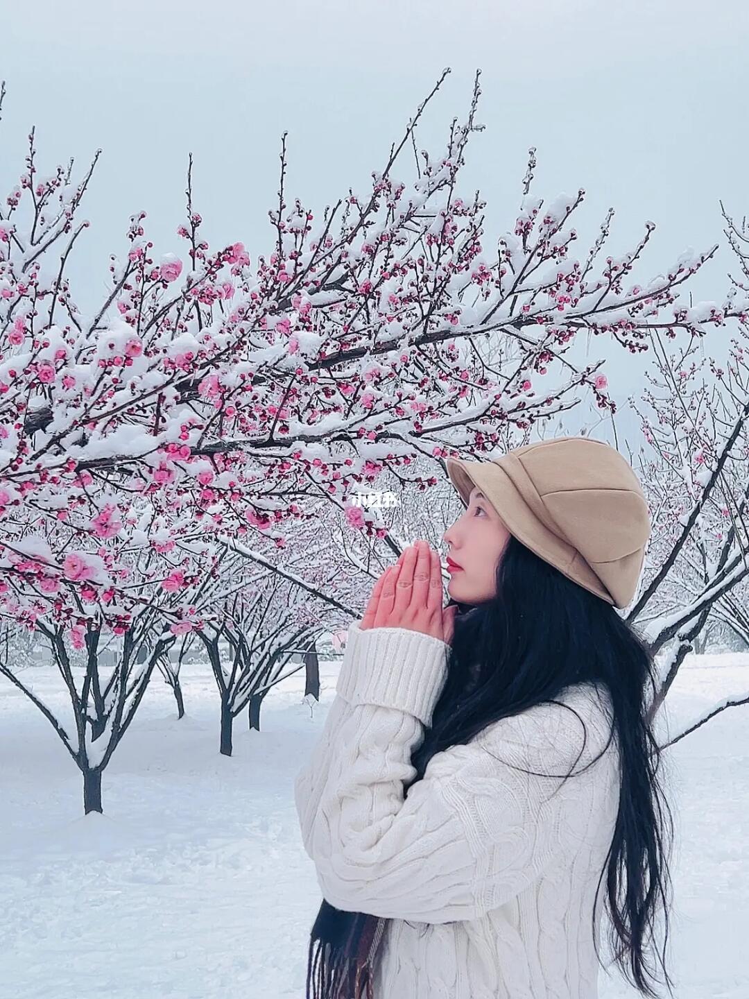 别再挤东湖了🌸竹叶海的免费梅花更好看❗️