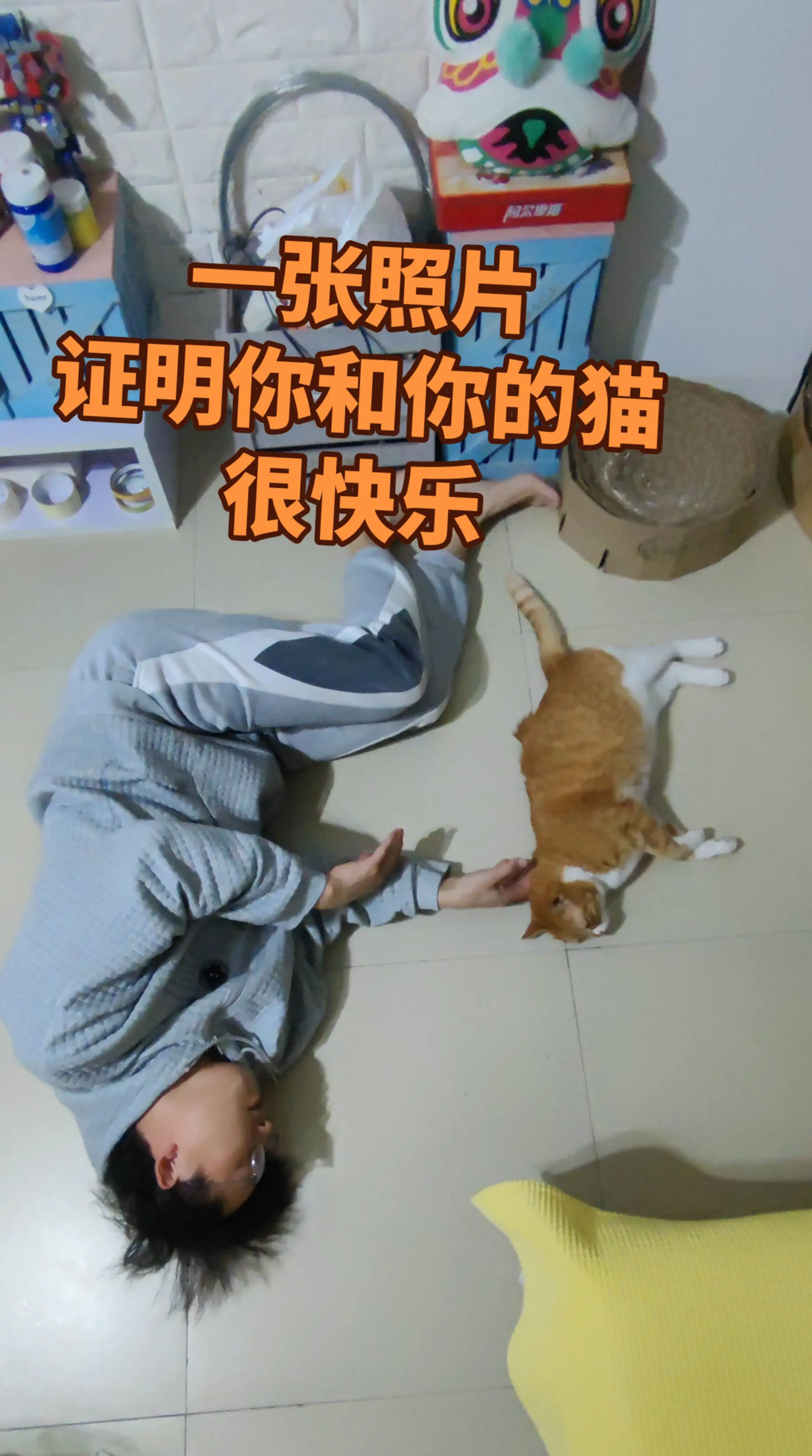 一张照片证明你的宠物被你养的很好