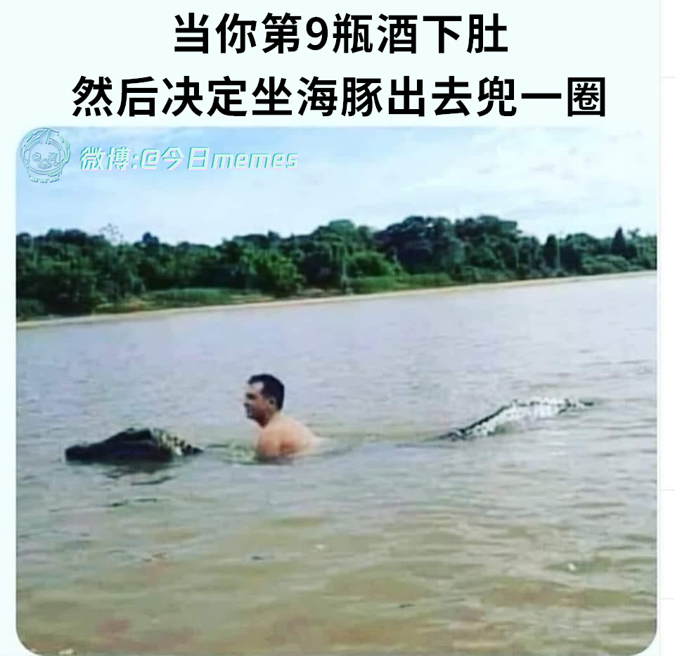 呼吸孔好多啊宝（9gag）今日meme[超话] 今日memes ​​​