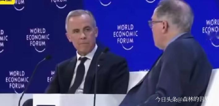 卡尼喊中等国家联合别依赖超级大国，转头和中国合作，压根不是双标，纯纯是精明的生存