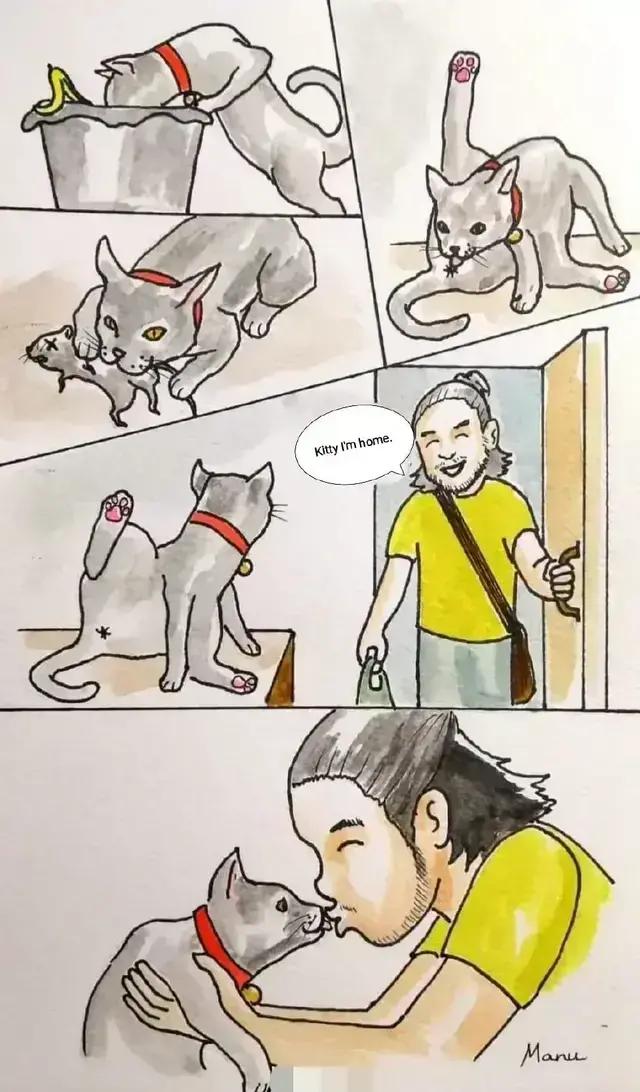 见到猫狗就特别亲的人好好看它们平时都在干嘛，看完之后还敢和猫狗亲热吗[笑哭]