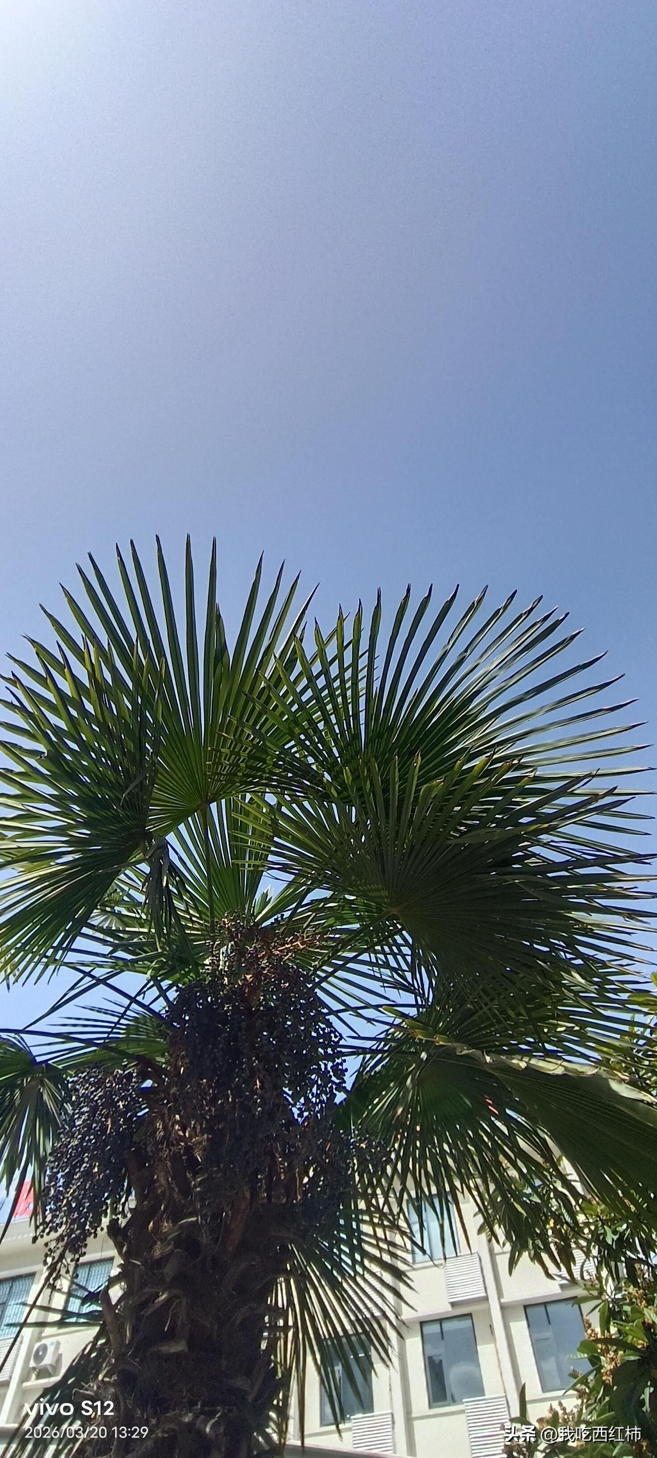 昨天去洗澡，买了8元的搓澡票，刚躺下，搓澡大姐就说，给你用搓泥宝搓搓吧？我说，不