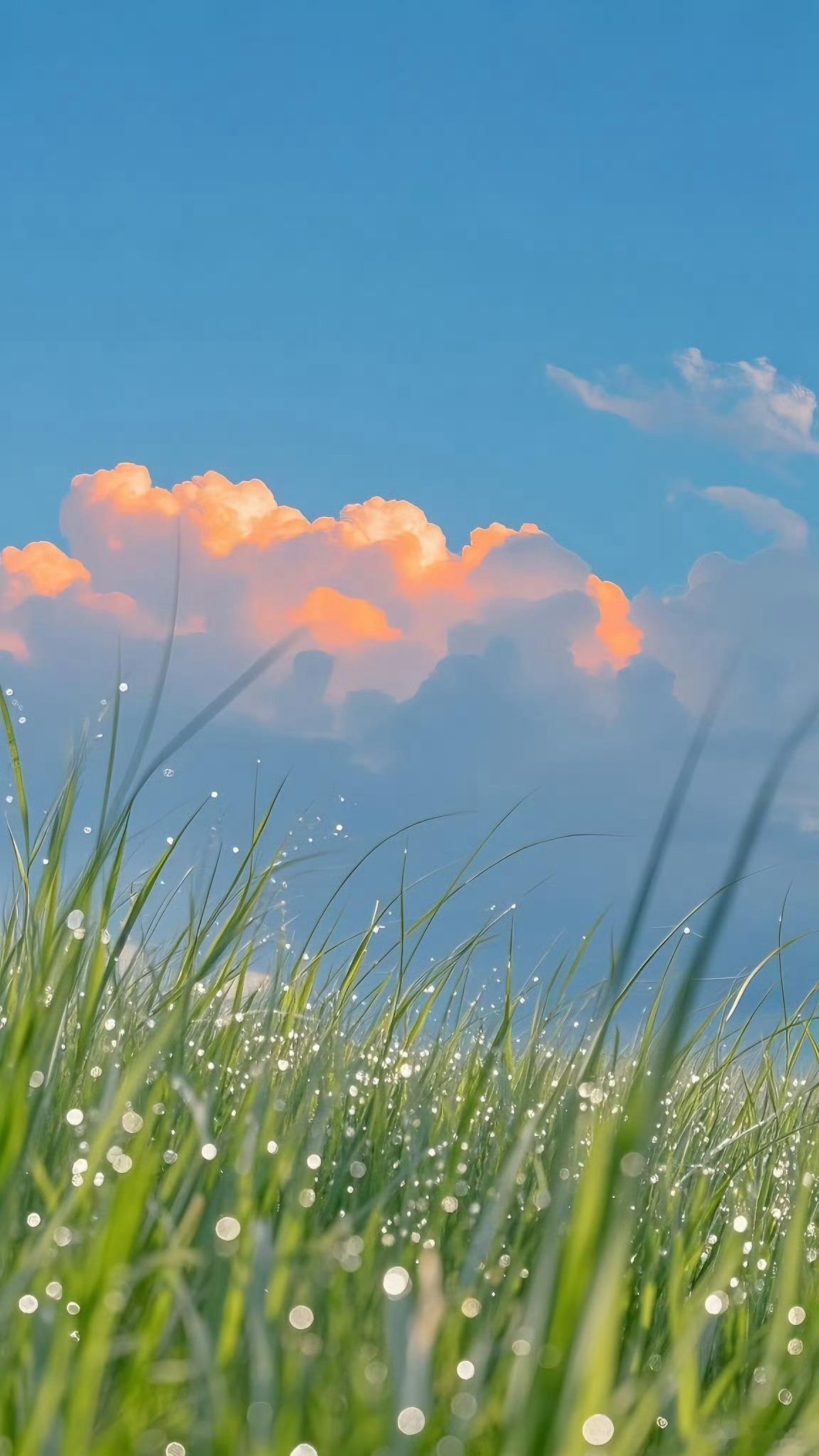 分享图片 ​​​