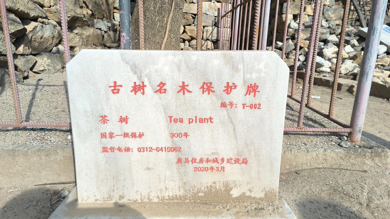 唐县百草寺