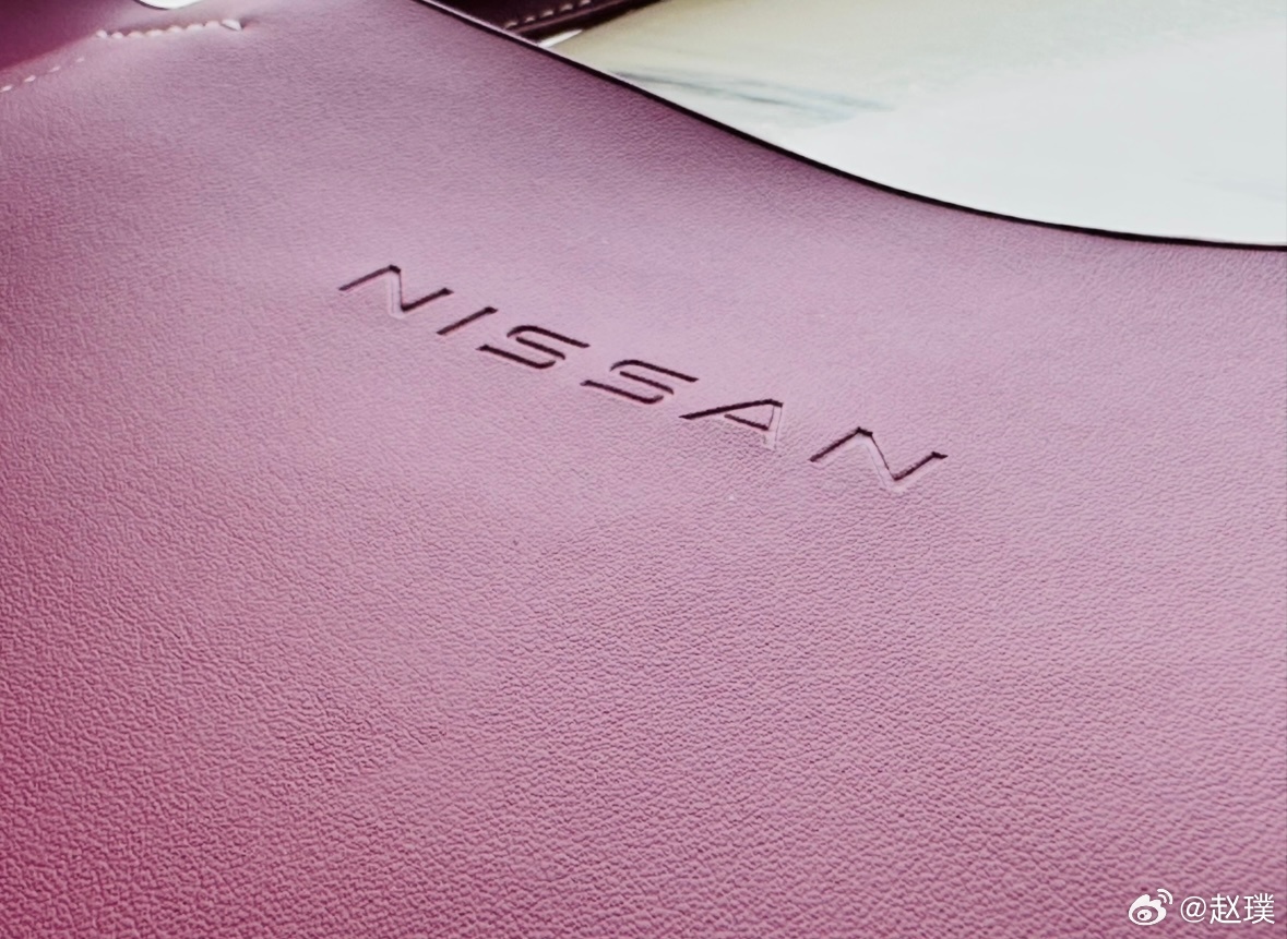 办公室又收到了一份惊喜快递——东风日产N6高定限量款鸿运托特包，还是和N6内饰同