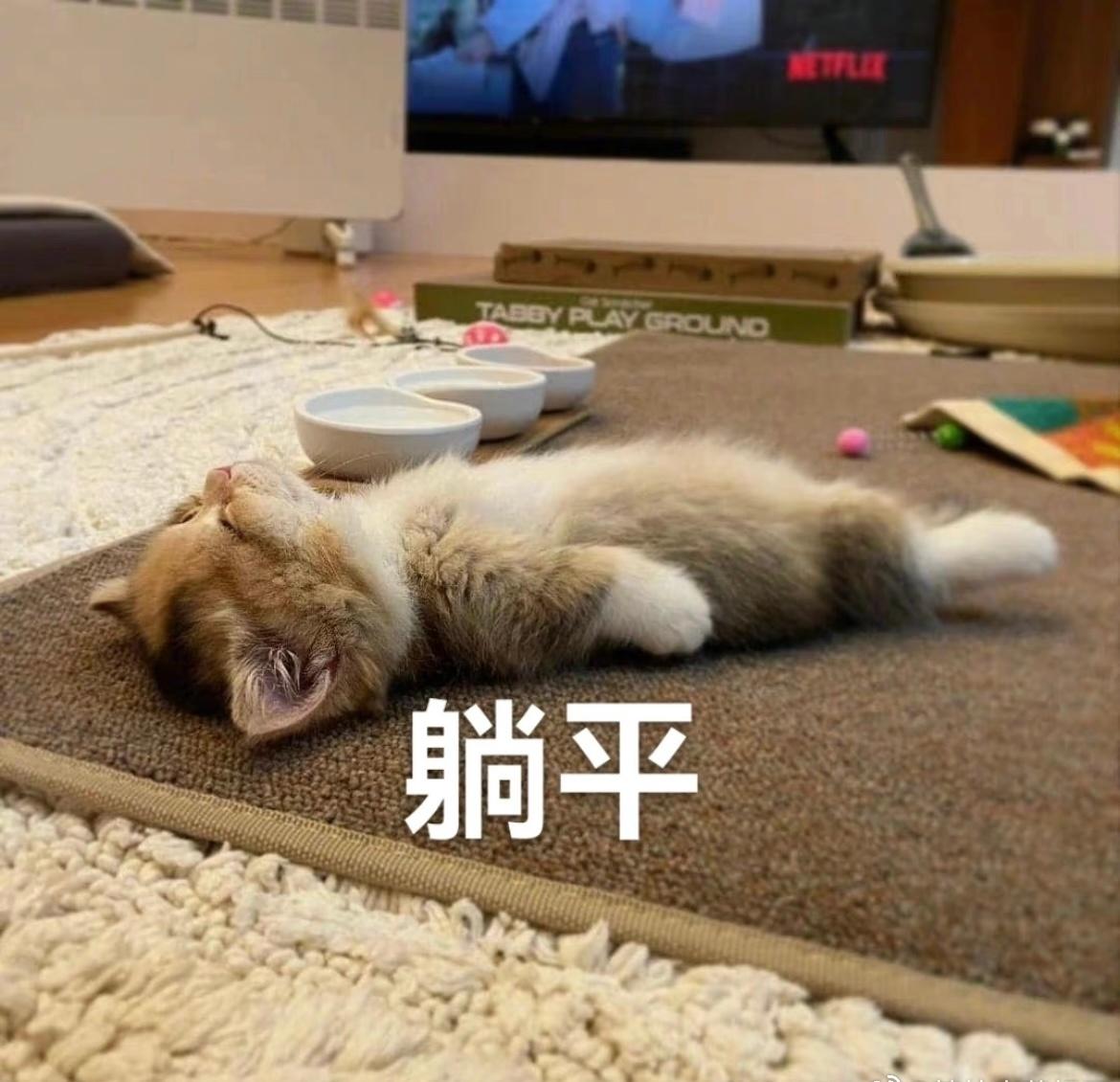 我的兵器叫【天蝎】天生就想蝎（歇）着 ​​​