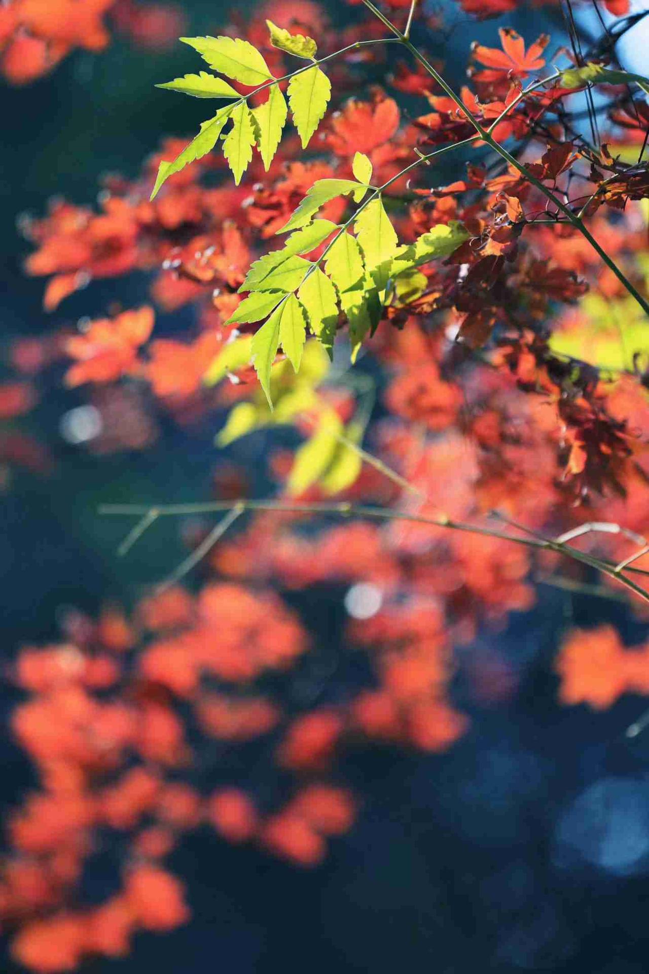 我的今日状态：💰期待暴富
我这里的天气：☀️晴天
