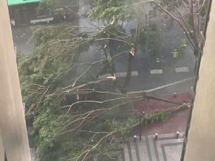 广东汛期三防形势严峻公众需要重点关注哪些极端天气？