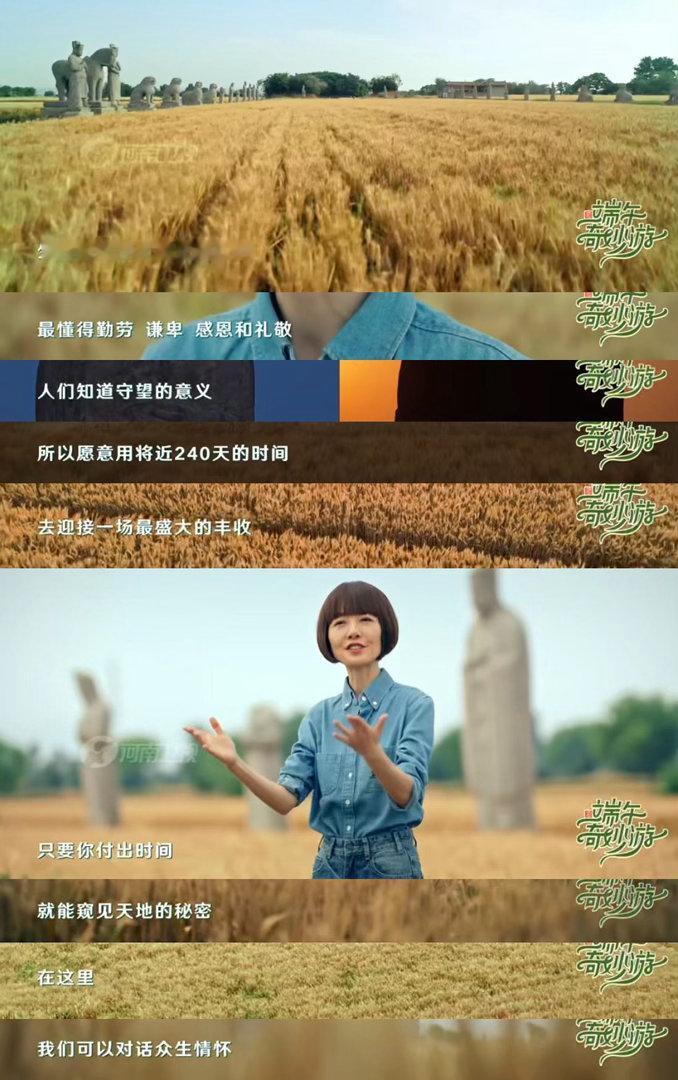 鲁豫这段演讲听哭了永泰陵麦田里鲁豫的演讲戳破泪点，二百余天等候丰收，一句回家割麦