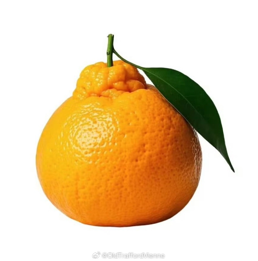 Baba 还是 Papa 耙耙柑你牛