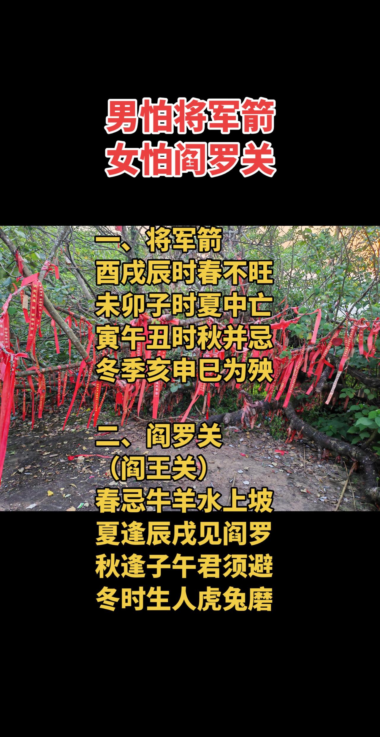 传统文化情感 婚姻