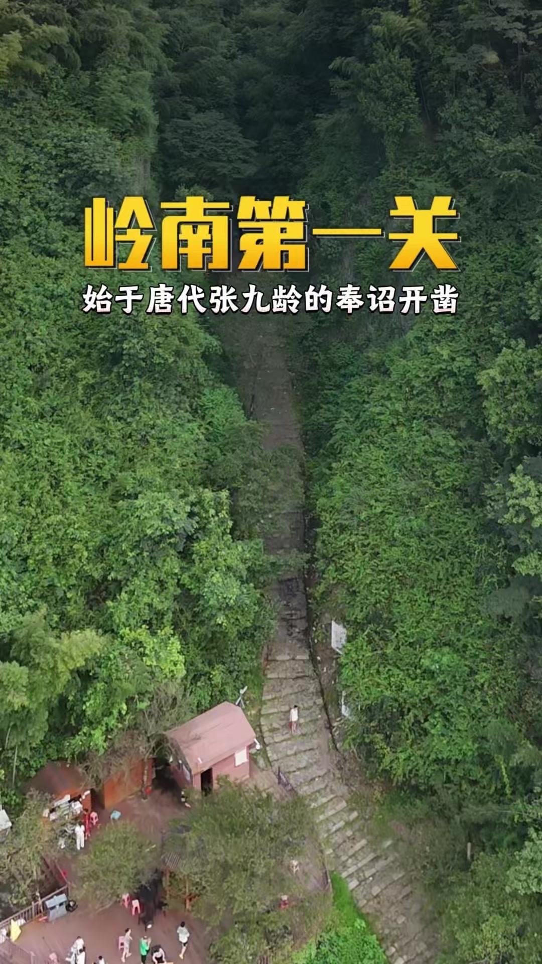 🌿梅关古道，一条刻在石头上的千年史诗

它始于唐代张九龄奉诏开凿，用碎石灰岩铺