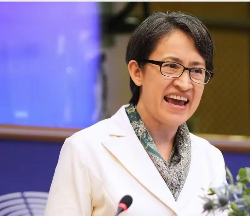 针对美国迟迟无法交货的问题，“顽固台独”萧美琴公然鼓吹“台美共同生产武器”！在近