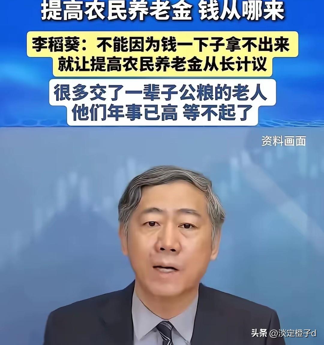 李稻葵疾呼农民养老金提速 政策小幅落地
 
李稻葵农民养老金言论引爆全网。202