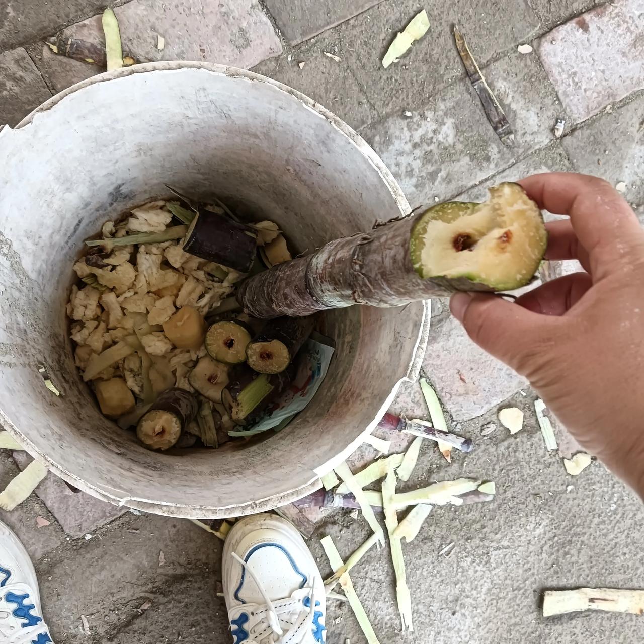 甘蔗再便宜也不能再买了，季节过了！