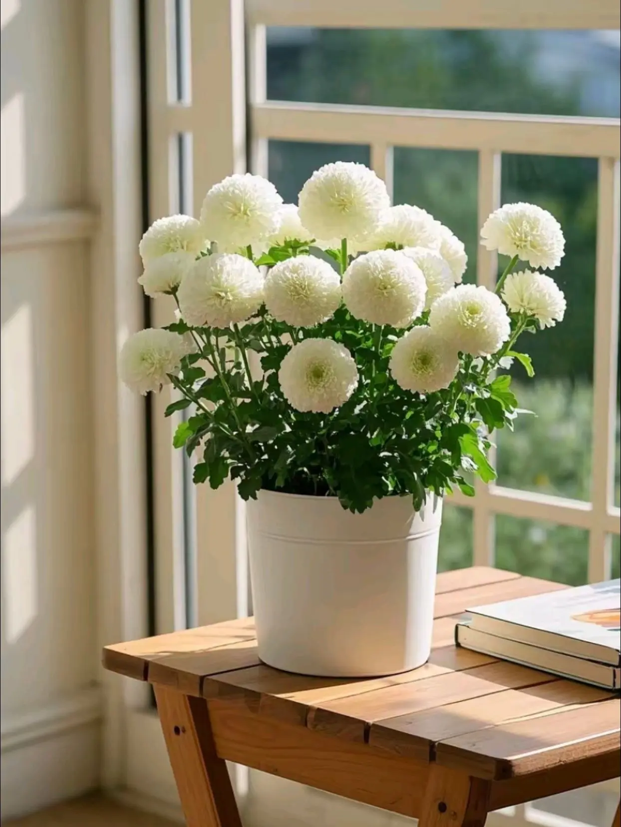 男人深爱一个女人，会给她钱 女人深爱一个男人，会不舍得花他的钱