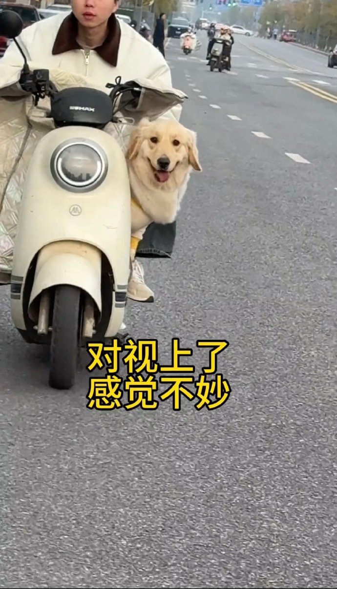 当对上眼的那一刻就知道要跳车了[笑cry] ​​​