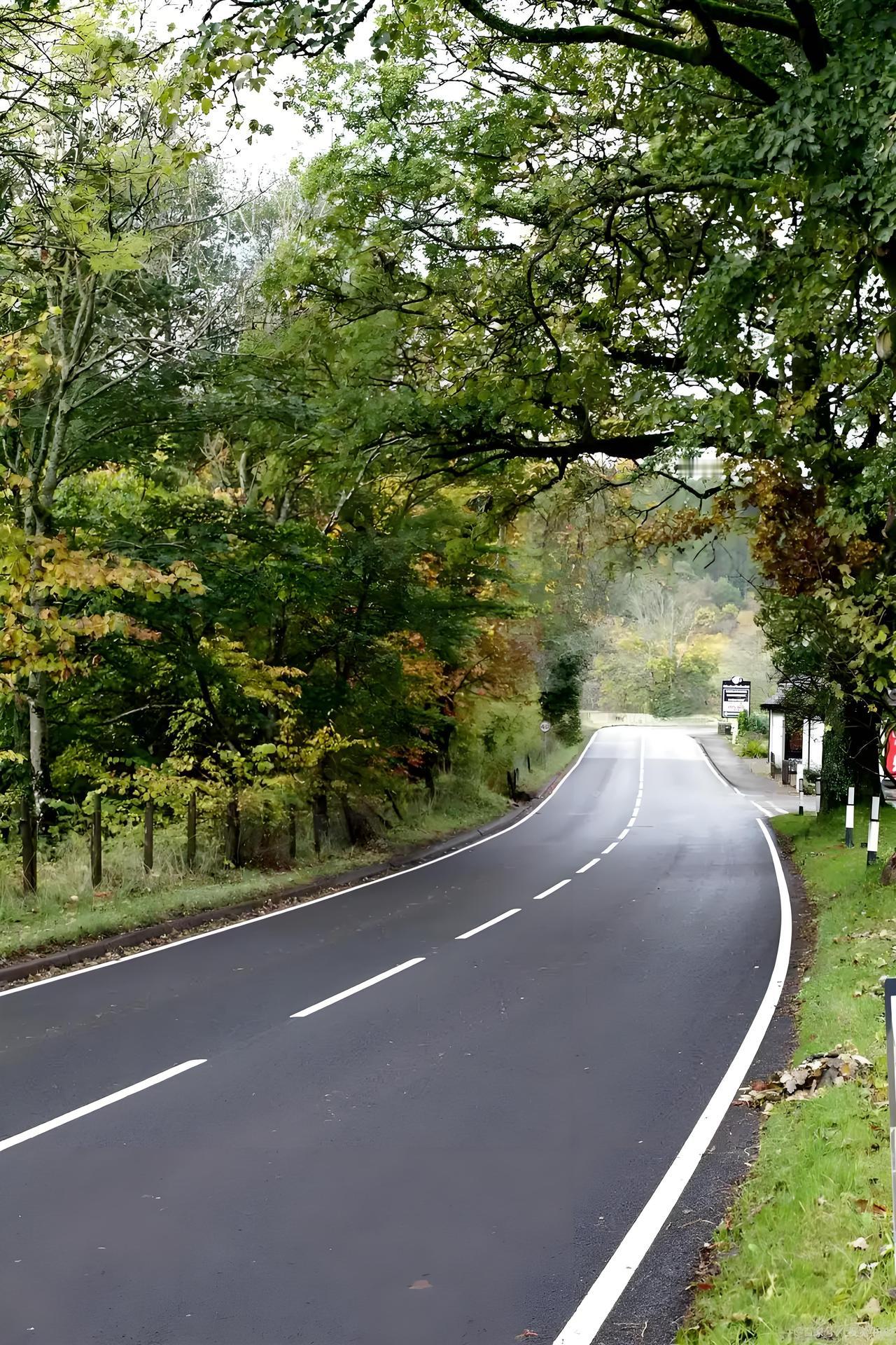 网友说天平街跨典农河大桥通车了，这可真是个好消息！之前10月20日这座长127米