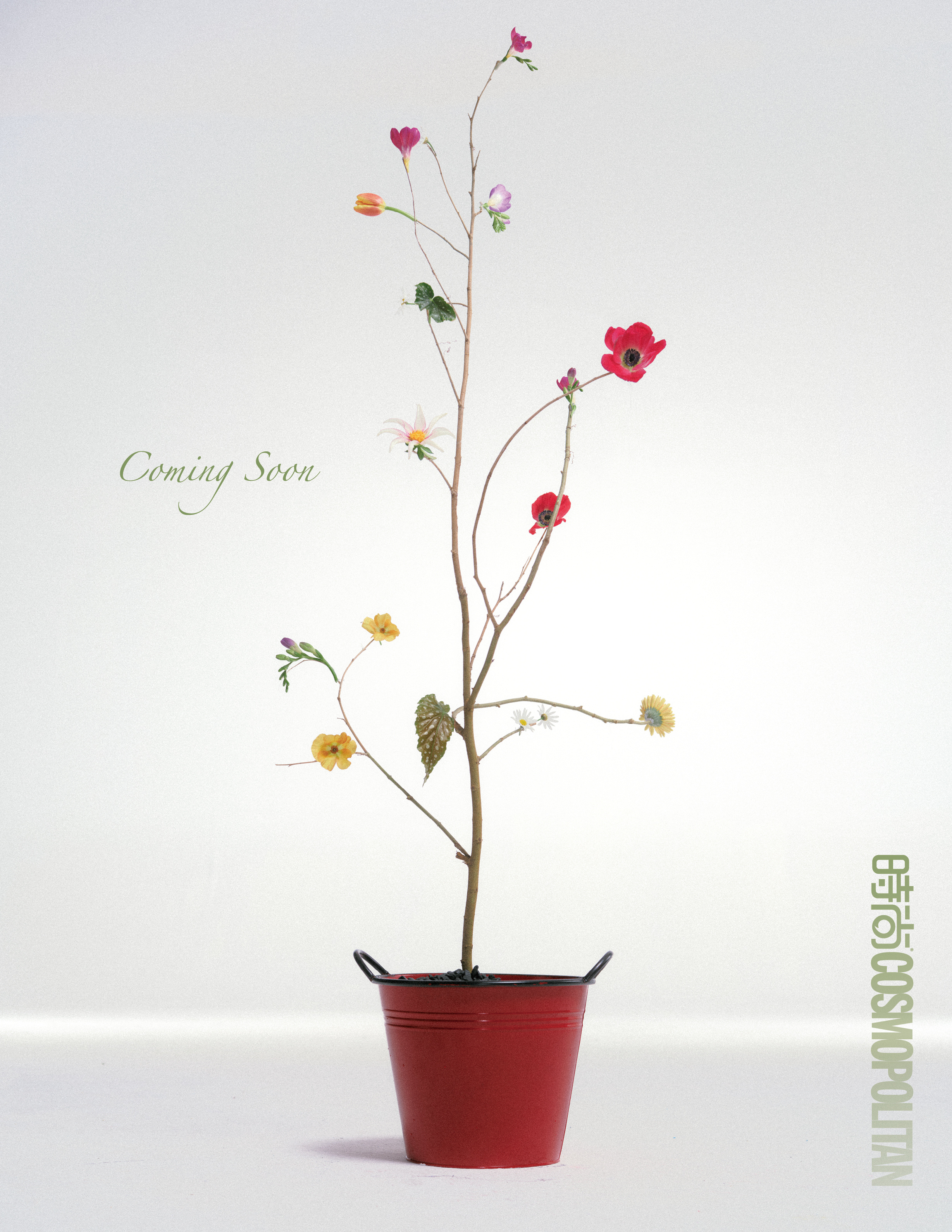 李昀锐将登上《时尚COSMO 》5月刊封面，预告片充满着春夏季花的浪漫气息。 李