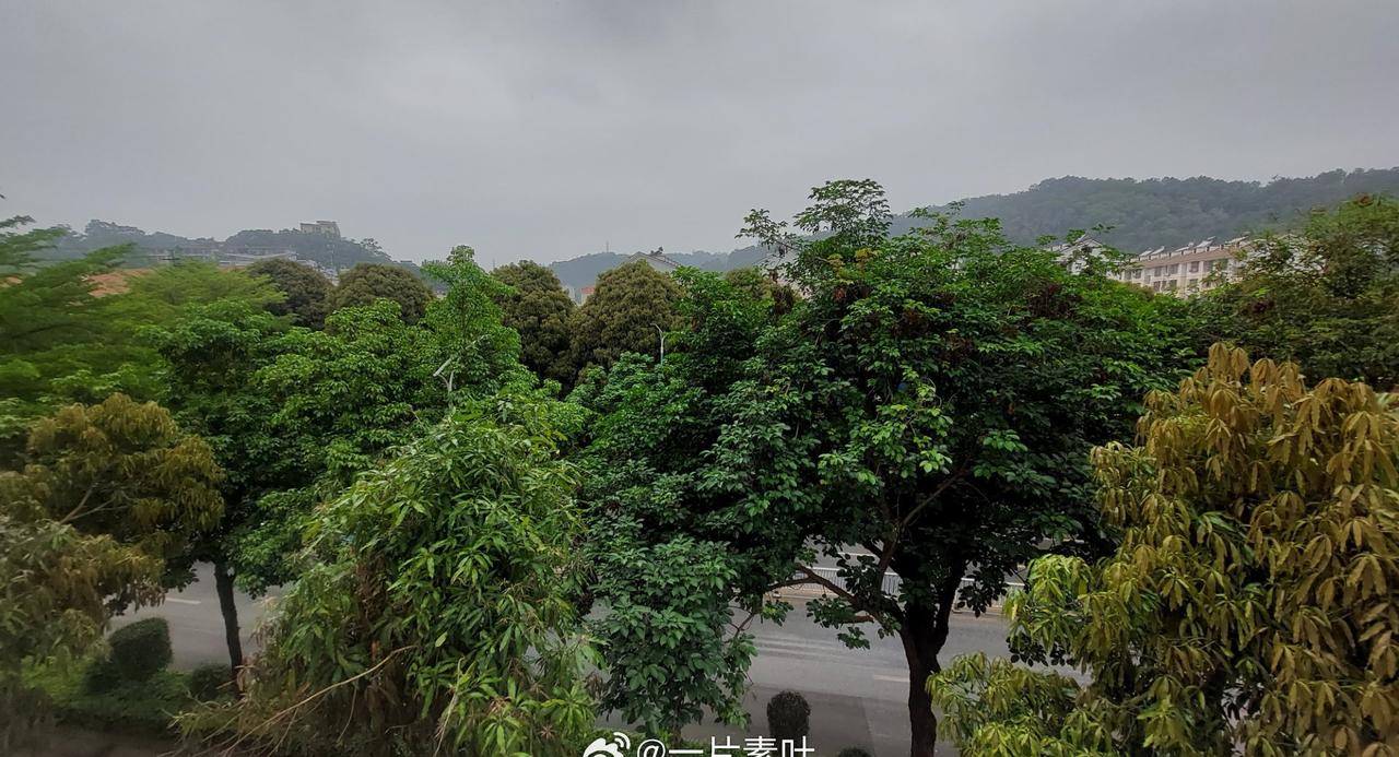 2026年3月22日，下午3点51下雨了[微风][下雨][微风] ​​​