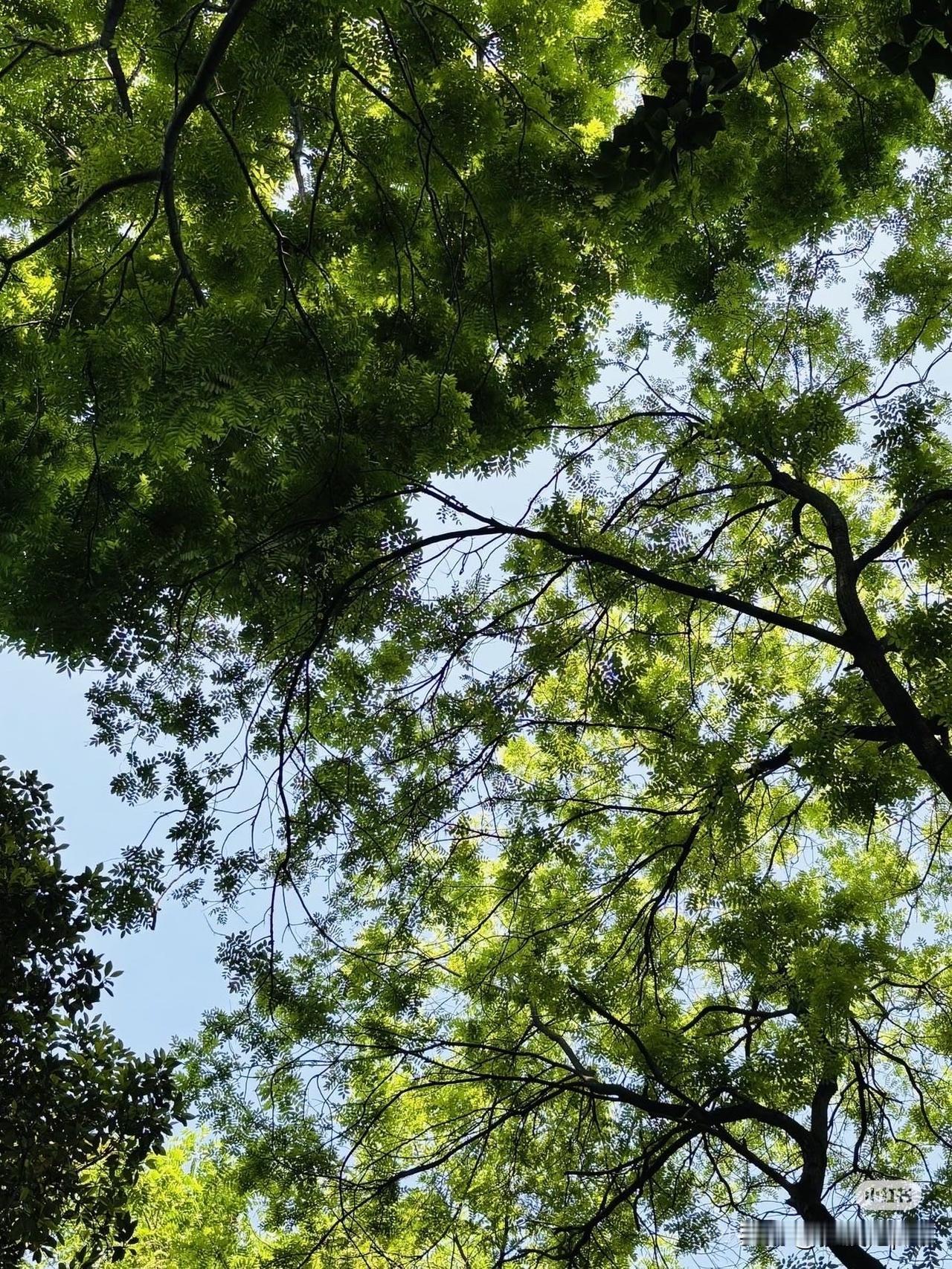 人到年龄慢慢大了以后，你就会发现，所谓的失业、失恋、离婚、被坑、破财，其实都不算