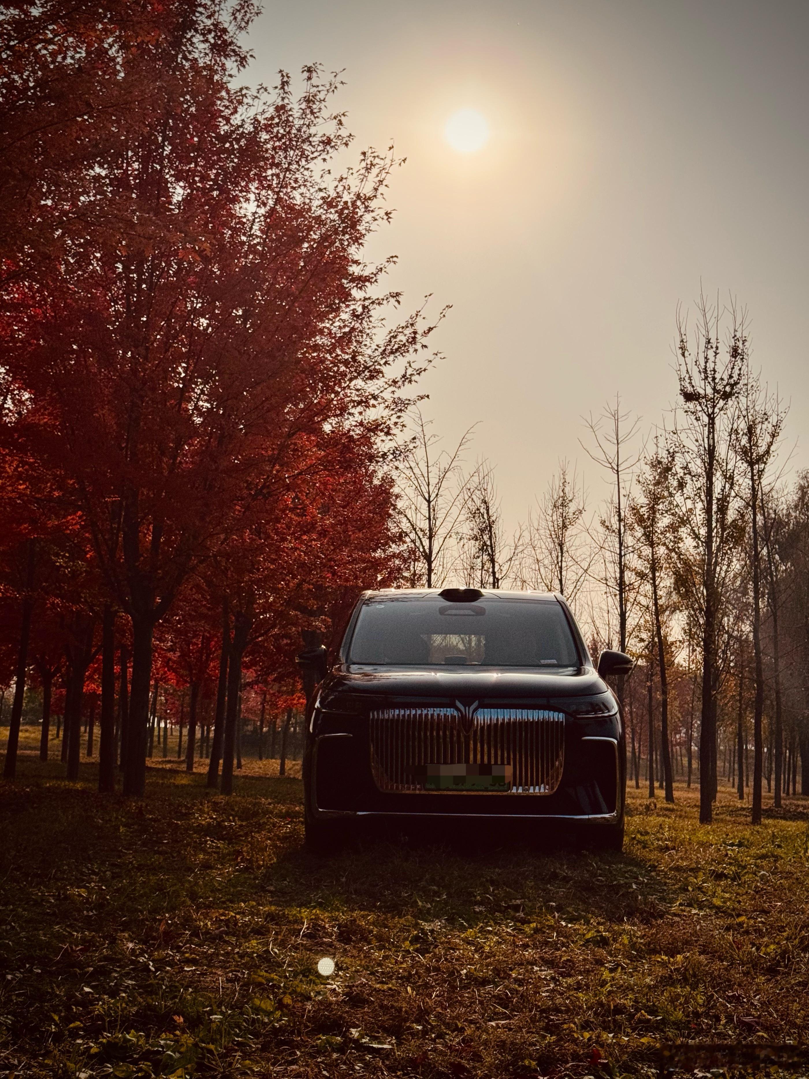 夕阳，枫叶，梦想，家～我与汽车的日常 ​​​