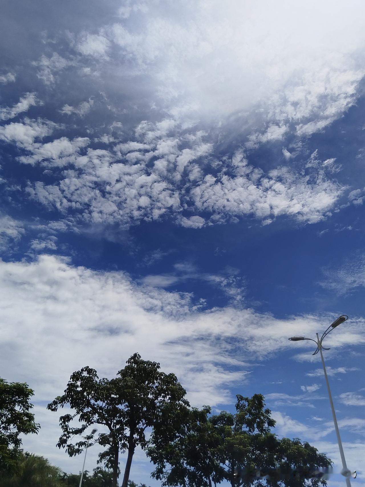 漫步在这广袤的天地间，仰望着那形态各异的云朵，思绪也随之飘远。有的云朵像奔腾的骏