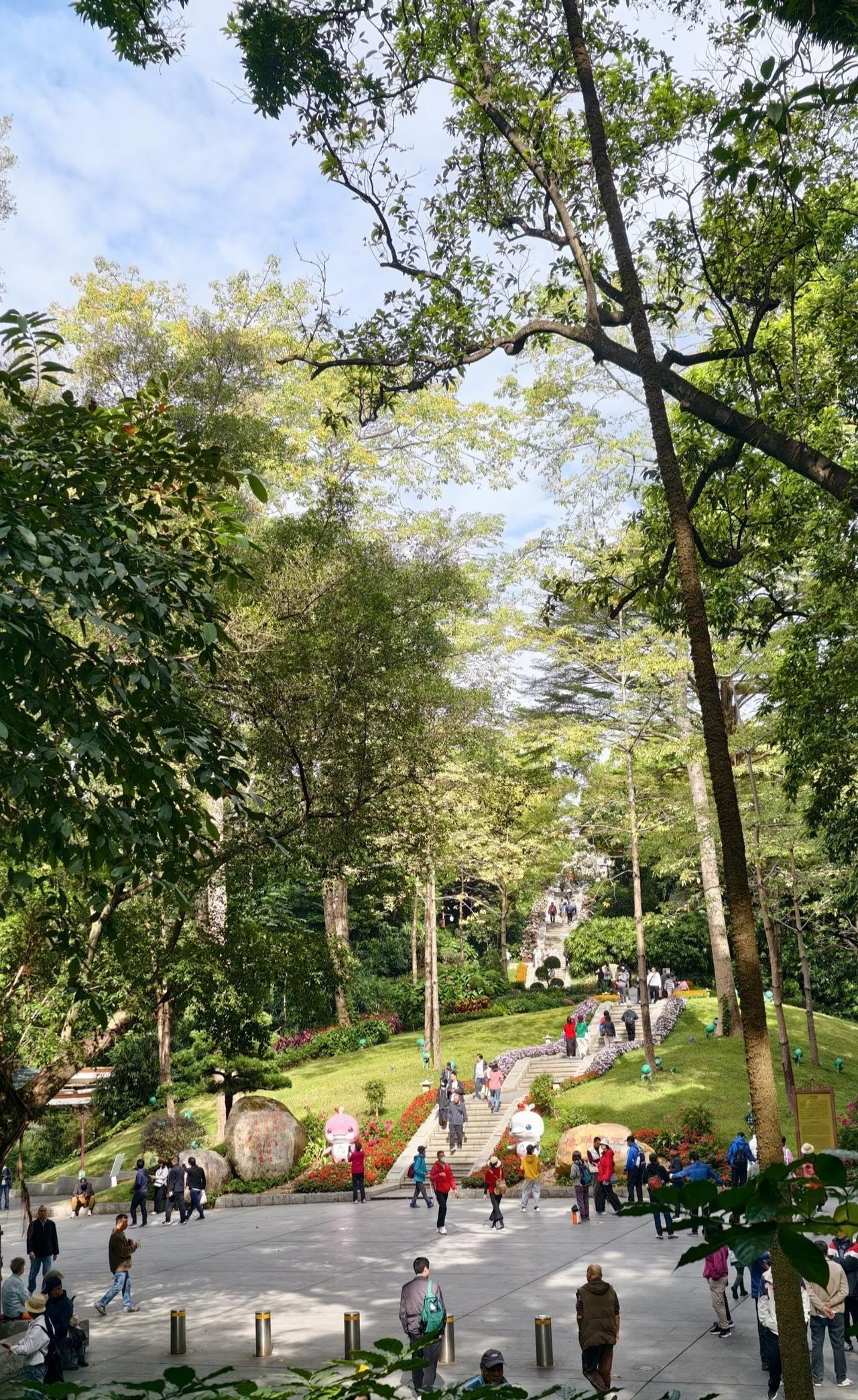 周末好去处‼️超酷云道穿越线8km连玩👏
📍广州 越秀公园-广州云道
去湖州